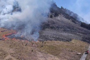 Diambil Alih Polda Jatim, Tersangka Kebakaran Bromo Sudah Dilimpahkan ke Kejaksaan Probolinggo