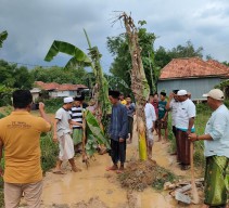 Tak Diperbaiki Pemerintah, Warga Tanam Pisang Ditengah Jalan