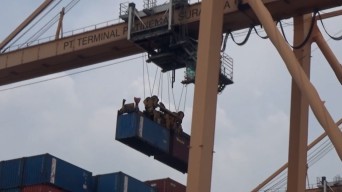 Perang Iran–AS–Israel Picu Keterlambatan Kegiatan Ekspor impor, 85 Persen Kapal di Tanjung Perak