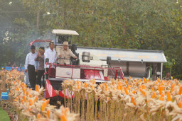Baca juga : Presiden Prabowo dan Kapolri Panen Raya Jagung Nasional di Tuban Perkuat Ketahanan Pangan