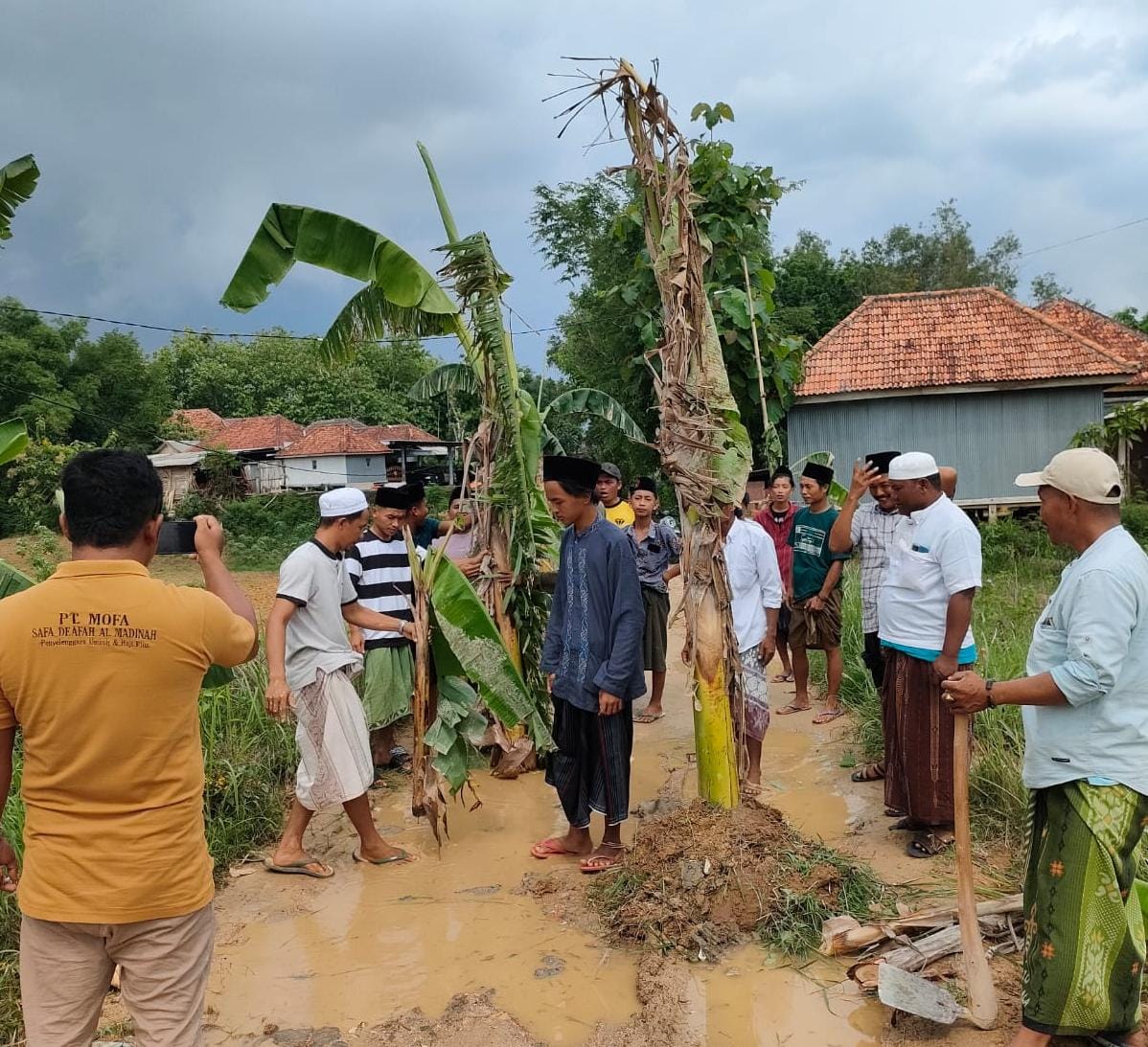 Aksi tanam pohon pisang ditengah jalan di Madura