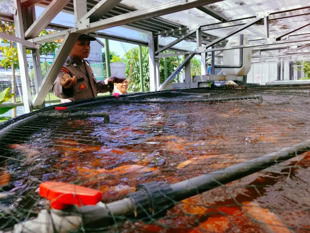 Bhabinkamtibmas Jemur Wonosari Dampingi Budidaya 1.400 Ikan Nila dengan Sistem RAS